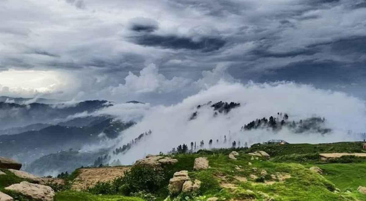 Toli Peer