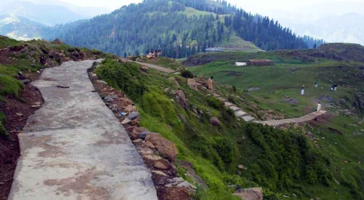 Toli Peer